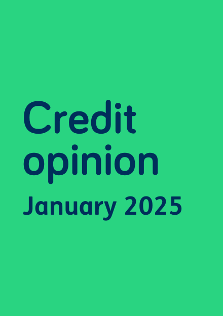 Credit opinion for whg